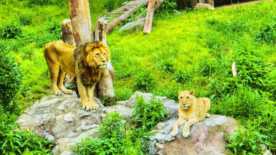 Ningbo Wildlife Park