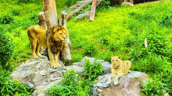 Ningbo Wildlife Park