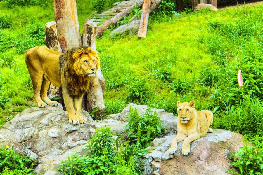 寧波野生動物園