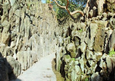 Rock Garden of Chandigarh