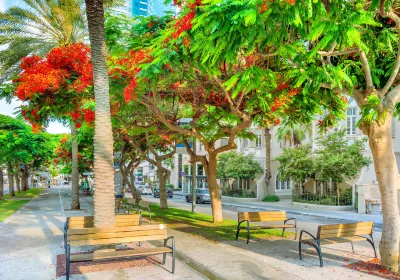 Bezirk Tel Aviv
