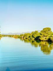 Albufera Natural Park