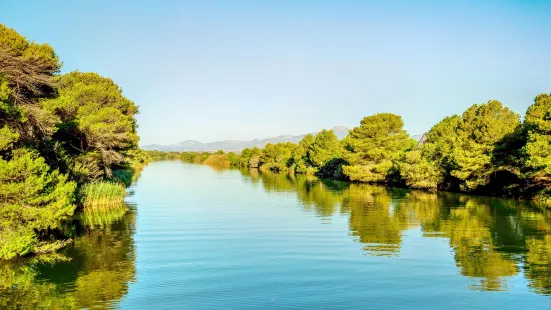 阿爾武費拉自然公園