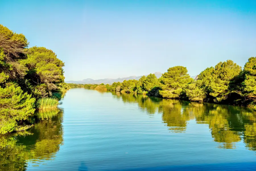 Albufera Natural Park