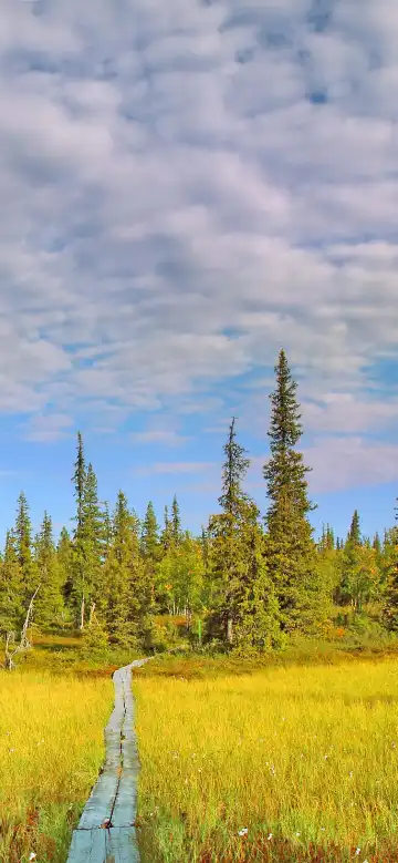 Hotels near Kakslauttanen