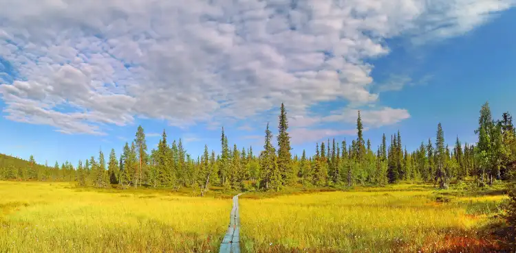 Hotels near Urho Kekkonen National Park