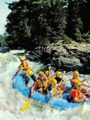 Chutes de la rivière Rideau