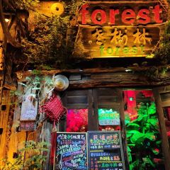 THE FOREST LIVE MUSIC ảnh của người dùng