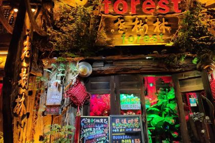 THE FOREST LIVE MUSIC