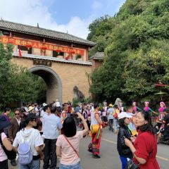 传统弥勒菜 User Photo