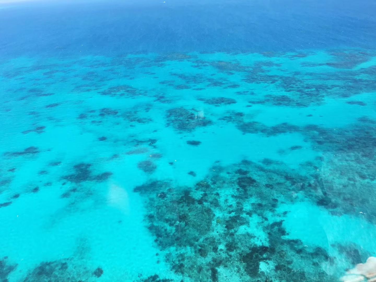 Heart Reef オーストラリア の旅行レビュー Trip Comトラベルガイド