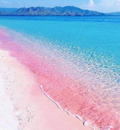 ピンク サンド ビーチ ダンモア タウン の旅行レビュー Trip Comトラベルガイド