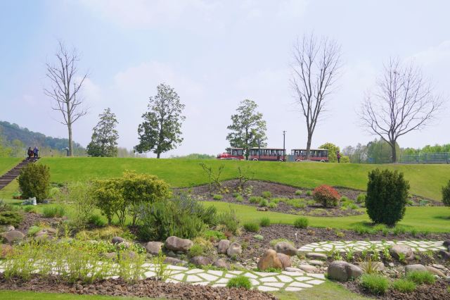 상하이 천산 식물원(상해 진산식물원)