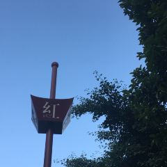 柏悦酒店-红餐厅 User Photo