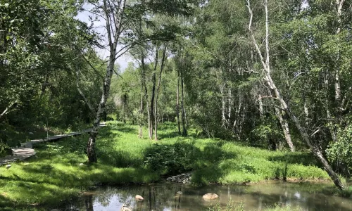 Hualin Park