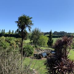 Waitomo Homestead ảnh của người dùng