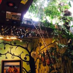 Calanthe Art Cafe User Photo