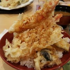 Toyotsune User Photo