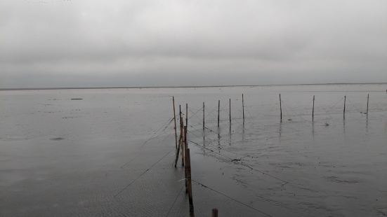 nicely preserved wetland. many