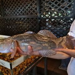 South Sea Seafood張用戶圖片