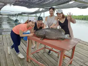 Grouper’s Nest