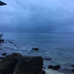 Kisik Seafood Bar and Grill User Photo