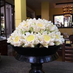 The Glasshouse Deli. Patisserie User Photo