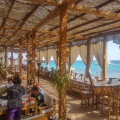 Caribbean Bar User Photo