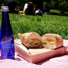 Little Collins User Photo