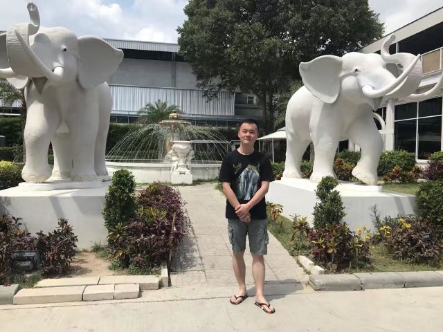 Art in Paradise