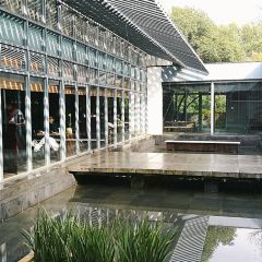 GUIYU RESTAURANT User Photo