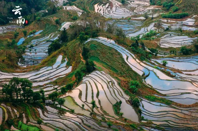 Terraced Fields Viewing in Yuanyang
