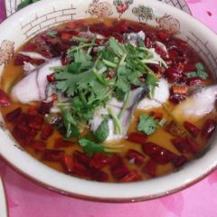 TAO HUA DAO JIU DIAN User Photo