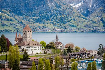 Town of Spiez