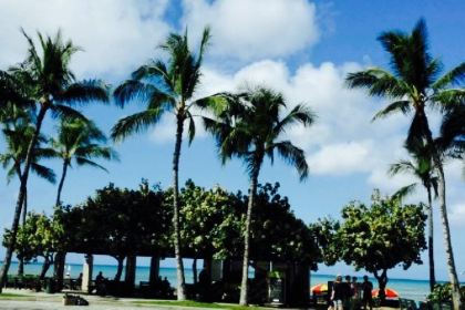 Eggs 'n Things - Waikiki Beach Eggspress