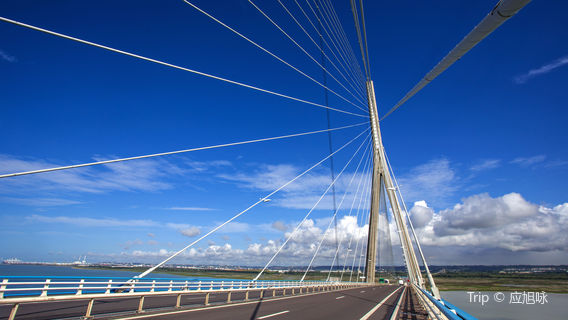 Pont de Normandie