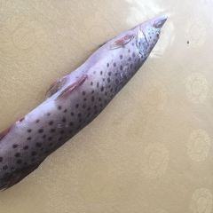 北極村王小瘦土菜館張用戶圖片