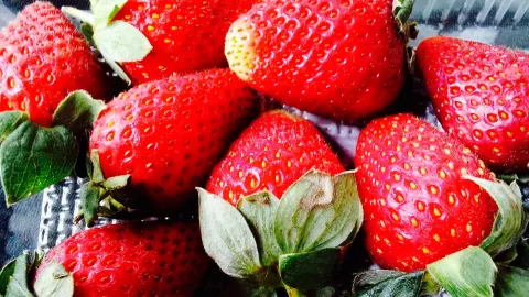 Simply Strawberries by Jagro in Colombo