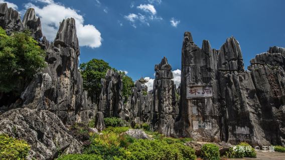 昆明【石林】 半日観光 ＜ホテル送迎／日本語ガイド／1名出発＞