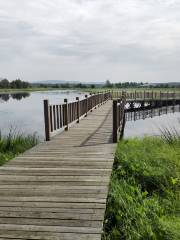 Longqi Wetland Park