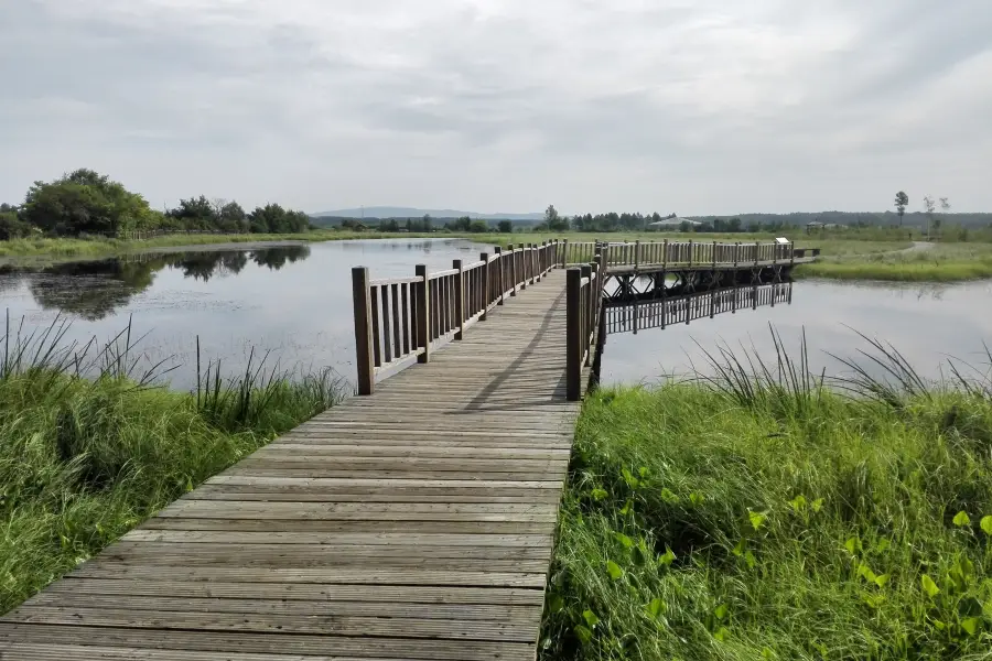 Longqi Wetland Park