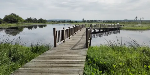 龍棲地濕地公園