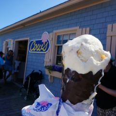 Cows Icecream User Photo