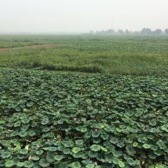 水上人家 User Photo