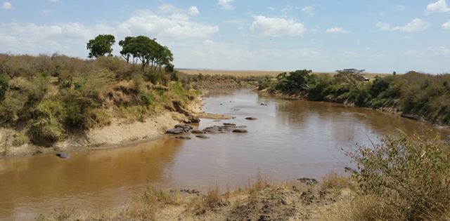 Mara River