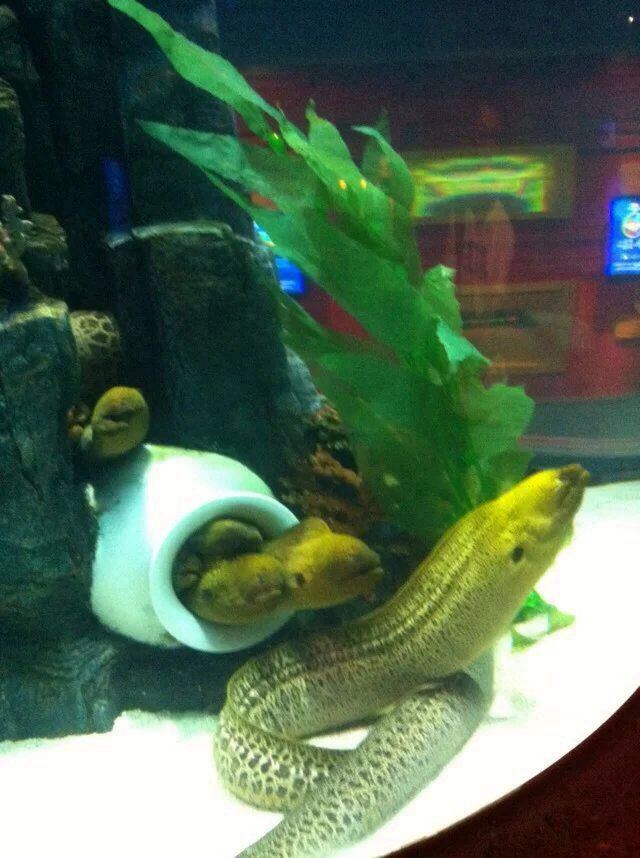 Changfeng Ocean World