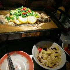 Tan Fish (chuangyichanyeyuan) User Photo