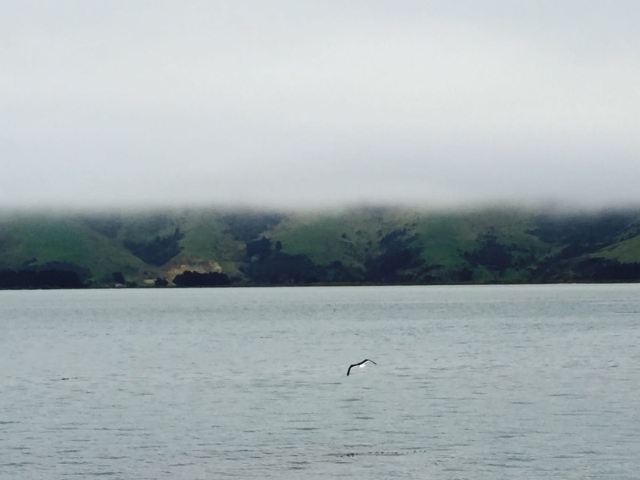 Otago Peninsula