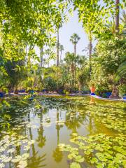 Majorelle Garten (Jardin Majorelle)