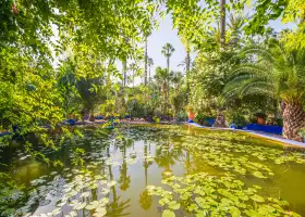 Jardin Majorelle